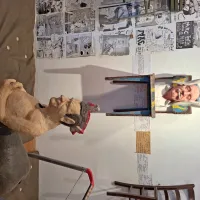Bi Marko Brecelj ponovno izvedel vatentat?