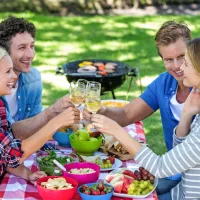 Veselje na pikniku v naravi nam lahko pokvarijo nadležne 
žuželke.