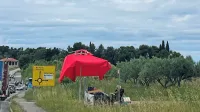 Na stojnicah  ob  cesti   v  teh  dneh  prodajajo  tudi  fige  in lubenice.  