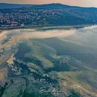 Burja bo očistila ozračje, sluzi je na površju morja vse manj