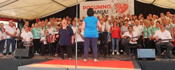 Sedem združenih zborov za Franjo: Zimzelen, Zven, Cerklanke, 
Marjetka Popovski, Coro popolare della resistenza. Partizanski 
pevski zbor in Tržaški partizanski pevski zbor Pinko Tomažič. 