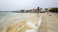 Ali nas ponovno čaka napad rjavo-rumene gmote, se sprašujejo v obalnih mestih.