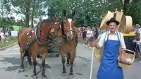 Povorka vozov je osrednji del vsakega furmanskega  praznika.