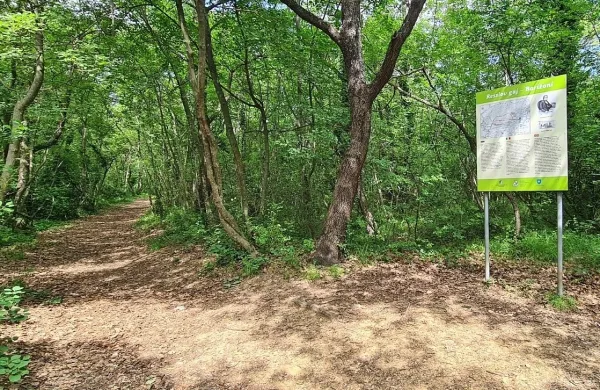 Na gozdni učni poti se obiskovalci najprej seznanijo z bogatim 
gozdarskim in izumiteljskim delom Josefa Ressla, saj je na 
izhodišču informativna tabla.