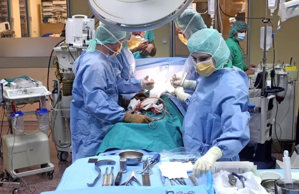 V obeh primorskih regionalnih bolnišnicah in v Ortopedski 
bolnišnici Valdoltra zaradi dopustov redni program dela ne bo 
nikjer okrnjen in se  nobeno čakanje ne bo dodatno podaljšalo.  