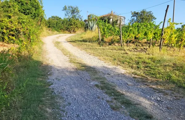 Kako do oktobra izkopati 60 metrov hišnega priključka do javne 
kanalizacije, če se srečuješ s težavami, se sprašujejo v Ankaranu. 