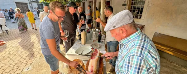 Kako ohraniti vinogradništvo v Sloveniji