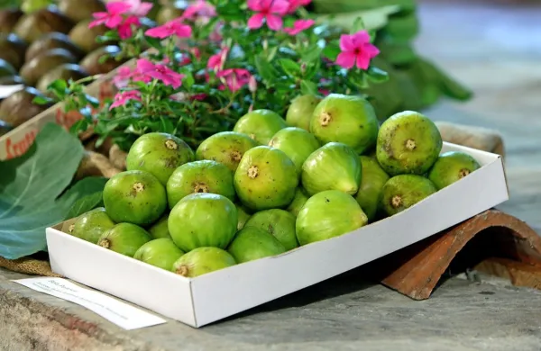 Fige vsebujejo številne koristne snovi.