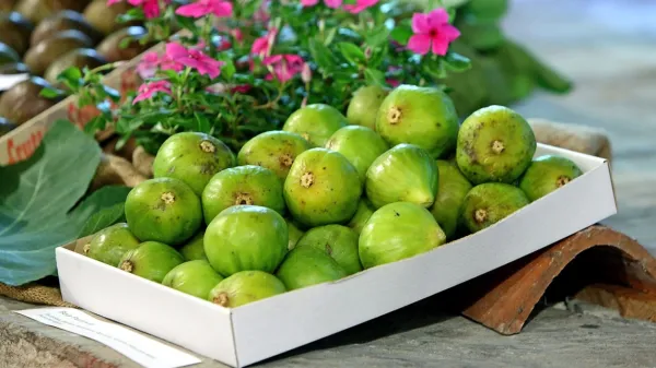 Fige vsebujejo številne koristne snovi.