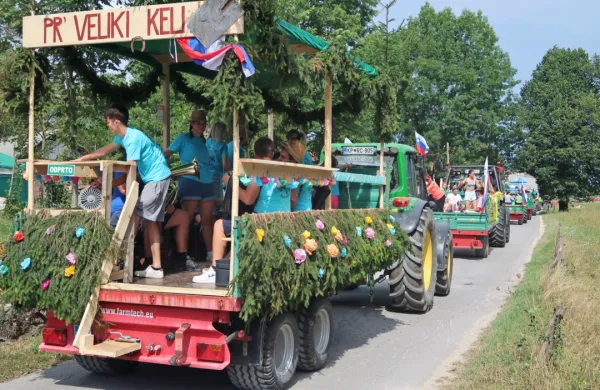 Promenadna vožnja je železni del vse številnejših shodov traktorjev po Primorski in  po Sloveniji.
