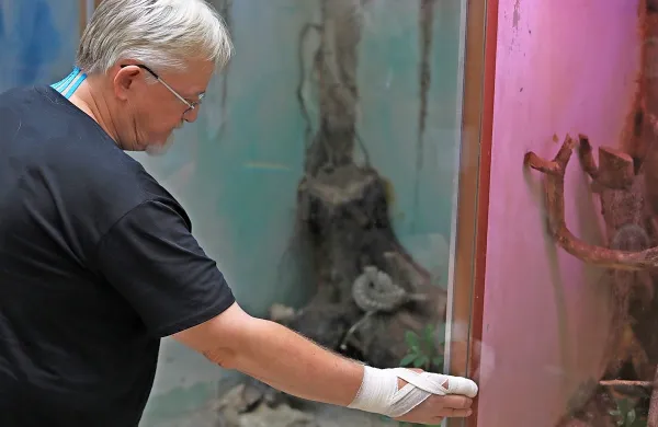 Branko Kolar, ki ga je ugriznila stepska klopotača, potem ko si je 
snel zaščitne rokavice, da bi lažje zaprl steklena drsna vrata - kot 
je to počel že 40 let. 