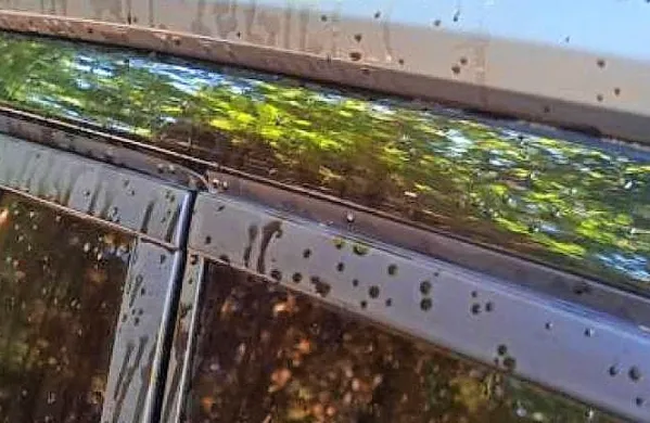 Družino  iz Gorice je  pred  dnevi  po  vrnitvi  s  sprehoda  čakalo  
neprijetno presenečenje.