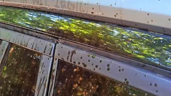 Družino  iz Gorice je  pred  dnevi  po  vrnitvi  s  sprehoda  čakalo  
neprijetno presenečenje.