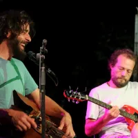 Zvok 6500 let starega lesa, ki mehča negotovo prihodnost FOTO)