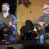 Zvok 6500 let starega lesa, ki mehča negotovo prihodnost FOTO)