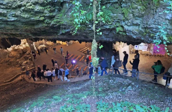 Pridite mislit umetno inteligenco, preden ona domisli nas