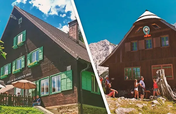 Naj koči letošnjega leta