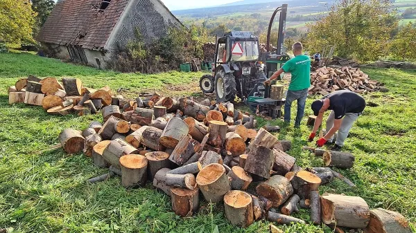 Drva ostajajo najbolj priljubljen vir ogrevanja v državi.