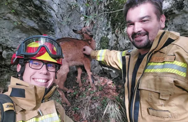 Gasilca koprske brigade z rešeno kozo