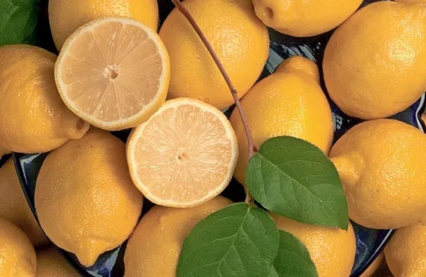 Trgovci pojasnjujejo, zakaj so cene limon tako dvignili. Bomo v prihodnje jedli manj pomaranč?