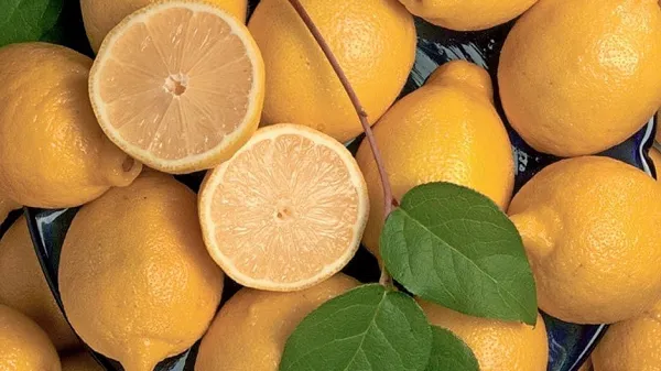 Trgovci pojasnjujejo, zakaj so cene limon tako dvignili. Bomo v prihodnje jedli manj pomaranč?