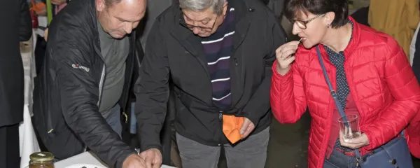 Danes bo v Kopru priložnost za primerjanje namiznih oljk. 