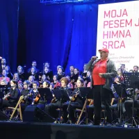 Pesem Vstajenje Primorske, brez katere ne mine nobena proslava na Primorskem, je uvodoma začel  peti igralec Gojmir Lešnjak 
Gojc, primorska  himna pa je nato povezala nastopajoče in občinstvo na vipavskem Glavnem trgu. 