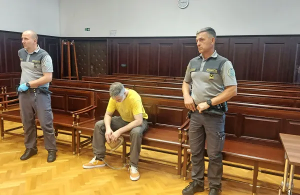 David Štrukelj na sodišču
