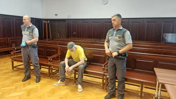 David Štrukelj na sodišču