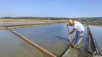 V Sečoveljskih solinah sedaj potekajo vzdrževalna dela. 
