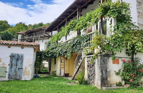 Domačije še ohranjajo značilno  stavbno dediščino. 