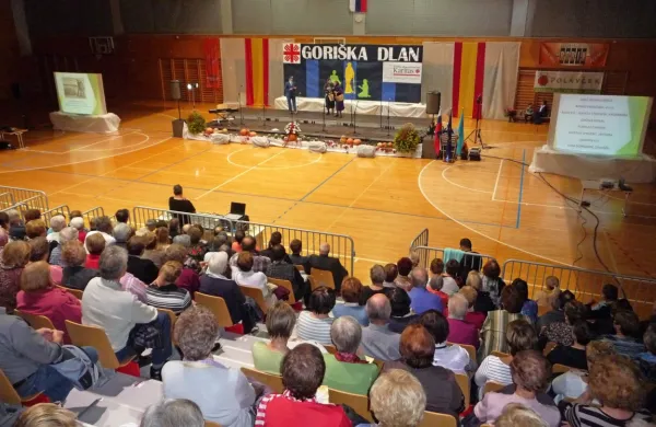 Letošnja dobrodelna prireditev Goriška dlan bo   jubilejna, deseta. 