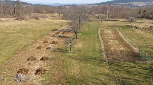Nasveti Miše Pušenjak: Gnojenje na vrtu je še vedno velika neznanka. Kdaj in s čim gnojiti?