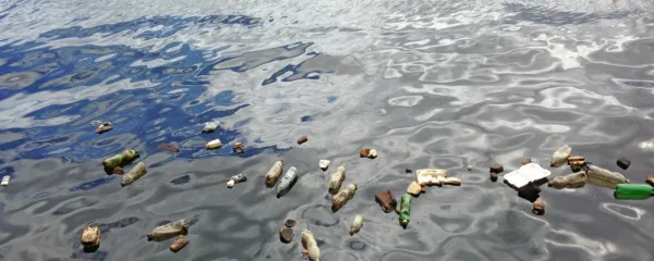 Z dihanjem v možgane vnesemo mikroplastiko?