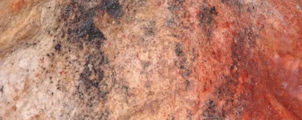 Šablona dlani v jami Gargas. 