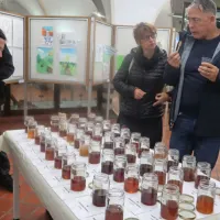 Vseh 88 tekmovalnih vzorcev medu je lahko poskusila in ocenila 
tudi publika.