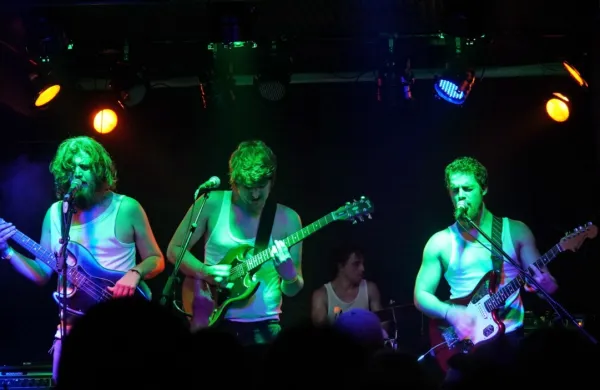 Kavasutra so nedavno izdali svoj drugi album z naslovom Ta veseli 
dan. 