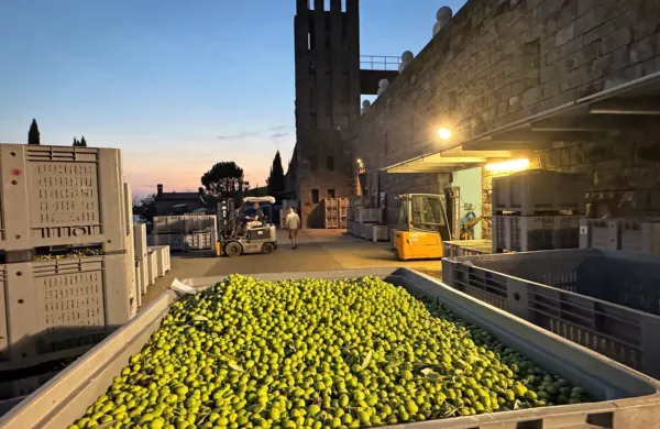 Oljarna Santomas v Šmarjah