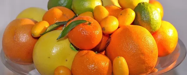 

 Pomaranče in mandarine krepijo stene žil in preprečujejo njihovo 
staranje.