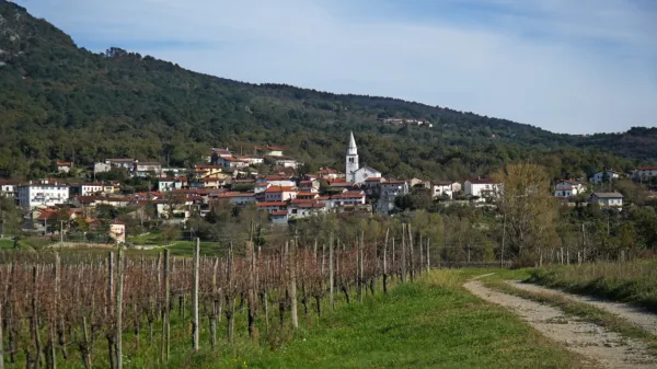 Občina bi morala vas razvijati na primeren način in spodbujati 
organsko širitev, pravijo v CI Osek. 