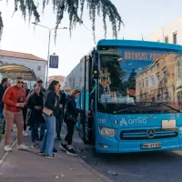 Martinovanje na Krasu: lepo vreme privabilo množico vinoljubcev na največje razpršeno martinovanje v Sloveniji (FOTO)