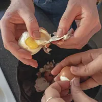 

Jajce boste lažje olupili, če boste med kuhanjem v vodo dodali žlico kisa.

