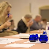 Prireditev Mlado oljčno olje je posvečena promociji ekstra deviškega oljčnega olja Slovenske Istre.