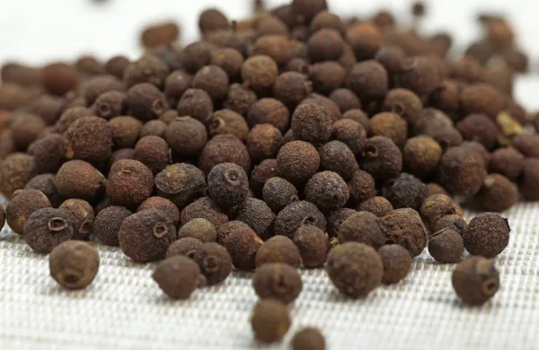 Piment so stara ljudstva uporabljala tudi v domači lekarni. 