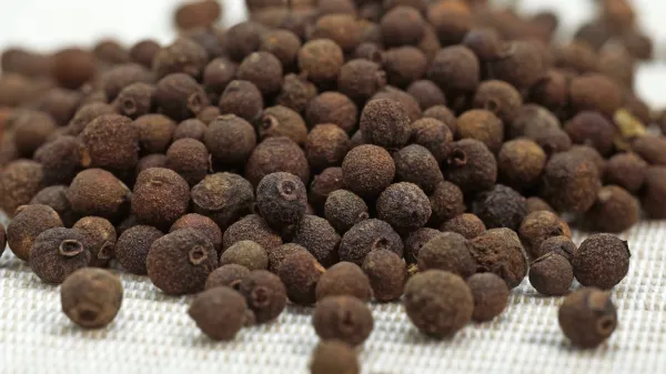 Piment so stara ljudstva uporabljala tudi v domači lekarni. 