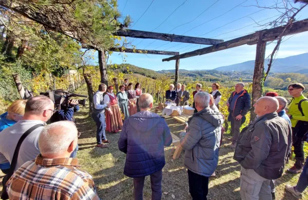 V vinogradu vinarstva Lisjak Žabar v Zaloščah so članice Društva žena Dornberk goste pogostile z 
vinogradniško malico. 
