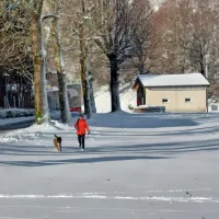 Neshojeni sneg na Lokvah je vabil tudi štirinožne prijatelje. 