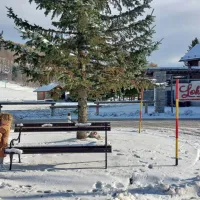 Kako priročno. Še skloniti se ni treba, da bi se dotaknila snega.