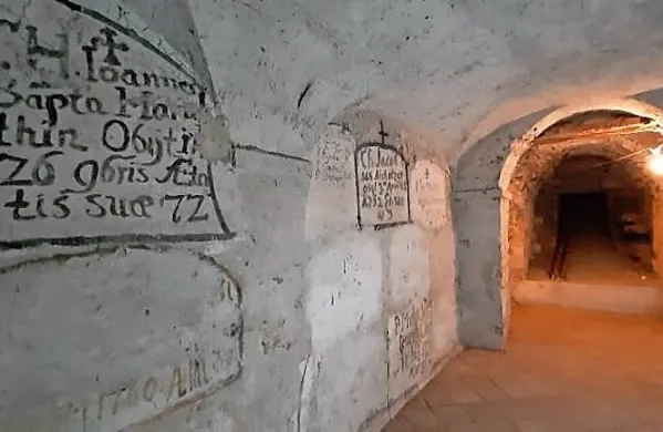 Podzemne kripte z obokanimi stropi pod cerkvijo sv. Ignacija na 
Travniku, pod stolnico in pod cerkvijo Karla Boromejskega skrivajo  
tudi številne latinske napise. 