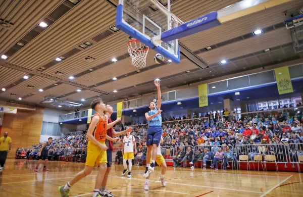 Spektakel za Vikov memorial je znova napolnil novogoriško 
dvorano. 